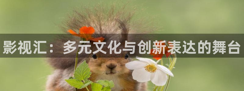 被窝电影在线观看